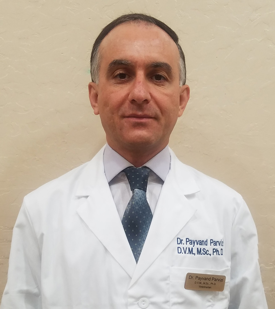 Dr. Payvand Parvizi